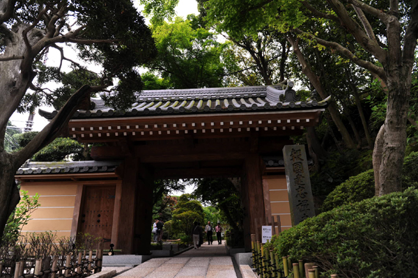 519 kamakura2 DSC_6365.jpg